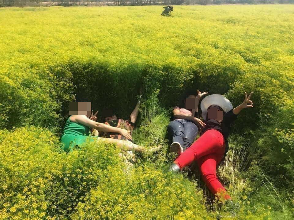 Còn nhớ, cánh đồng hoa thì là đẹp như mơ ở Ninh Thuận đã phải vội vã đóng cửa sau 4 ngày đón khách vì bị dẫm đạp lên một cách không thương tiếc khiến vườn hư hỏng nặng.