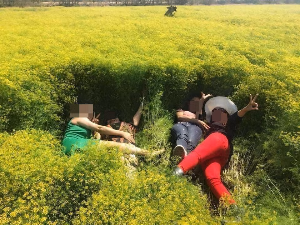 Còn nhớ, cánh đồng hoa thì là đẹp như mơ ở Ninh Thuận đã phải vội vã đóng cửa sau 4 ngày đón khách vì bị dẫm đạp lên một cách không thương tiếc khiến vườn hư hỏng nặng.