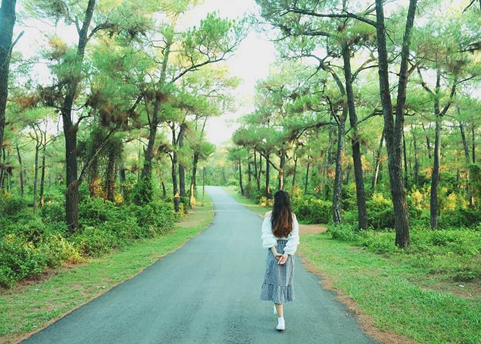 Đồi Thiên An được phủ lên bởi một màu xanh mướt của cây cỏ, gió reo vi vu suốt ngày và không gian cực tĩnh lặng, êm đềm như chính thành phố mộng mơ Huê.