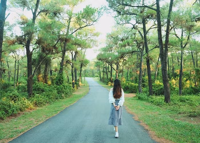 Đồi Thiên An được phủ lên bởi một màu xanh mướt của cây cỏ, gió reo vi vu suốt ngày và không gian cực tĩnh lặng, êm đềm như chính thành phố mộng mơ Huê.