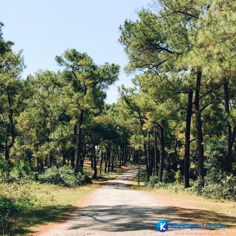 Bên cạnh lối lên đồi cực đẹp, mướt bóng cây thì trên đồi còn nhiều góc check-in cực "ảo diệu" khác như công viên hồ Thủy Tiên, đồi thông, đan viện Thiện An,....