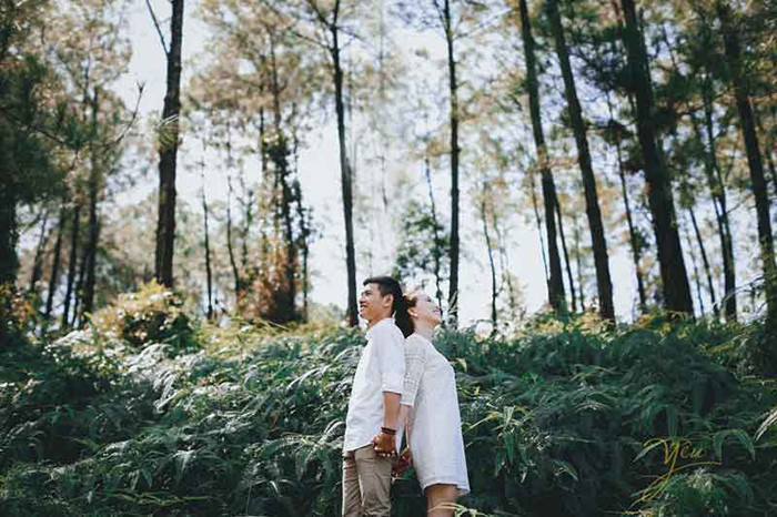 Bên cạnh Đại nội Huế, chùa Thiên Mụ đã quá quen thuộc với du khách tới với xứ Huế thì đồi Thiên An cũng là địa điểm được yêu thích bởi khung cảnh hoang sơ, trong lành và yên bình.