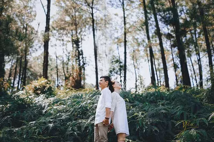 Bên cạnh Đại nội Huế, chùa Thiên Mụ đã quá quen thuộc với du khách tới với xứ Huế thì đồi Thiên An cũng là địa điểm được yêu thích bởi khung cảnh hoang sơ, trong lành và yên bình.