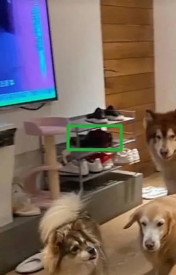 Bang chung chu tich Taobao va nguoi tinh chung song tu lau