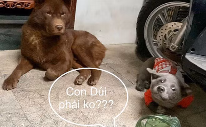 Tưởng đây chỉ là trò đùa, thế nhưng đôi dép được bán ra đã lên tới 122 đôi và thậm chí các sản phẩm còn được người dùng rate hẳn 5 sao.