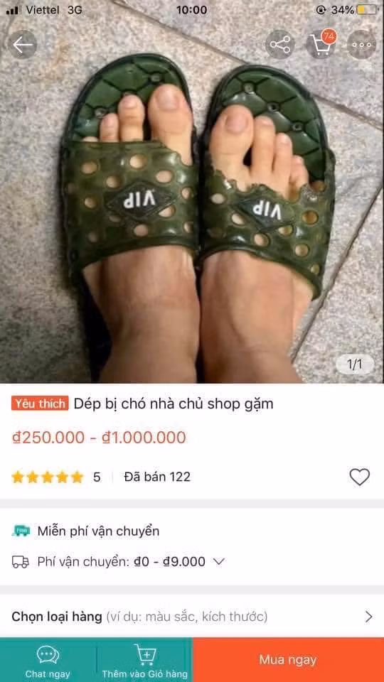 Mặc dù đôi dép nhựa rất rẻ tiền thậm chí còn bị cắn rách, nhưng sự khác biệt là có thêm dấu răng của Dúi idol nên đôi dép này bán với giá trị phải gấp 10 lần thông thường.