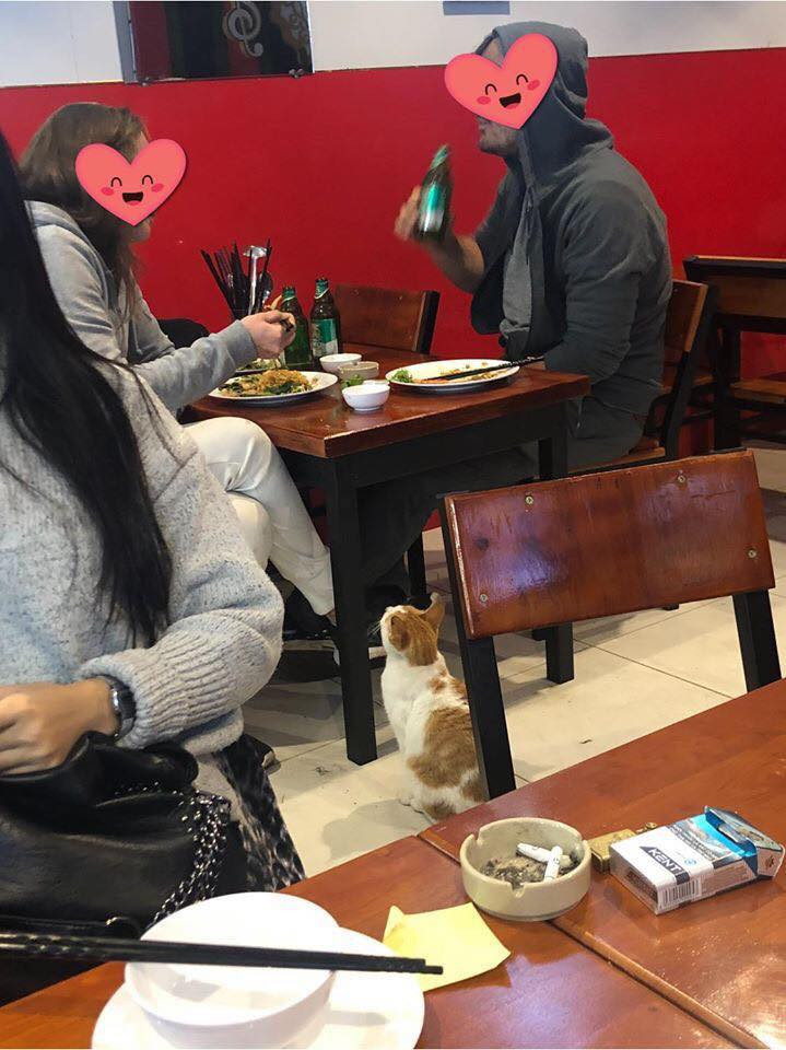 Mới đây, trên một diễn đàn mạng xã hội đăng tải hình ảnh một chú mèo đứng nhìn khách hàng ăn chăm chú với ánh mắt long lanh như muốn xin ăn thu hút được sự chú ý của rất nhiều người.