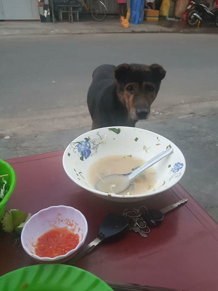 Trước đó, nhiều bức ảnh về những "ăn mày" xin vì đam mê xuất hiện trên mạng xã hội khiến nhiều người vô cùng thích thú.