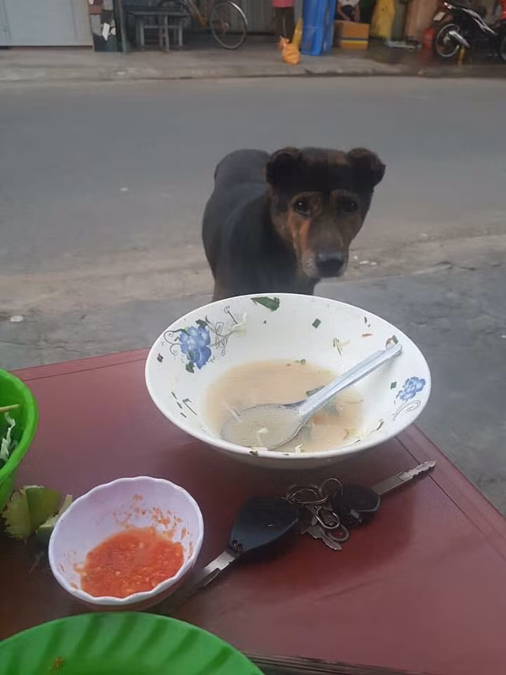 Trước đó, nhiều bức ảnh về những "ăn mày" xin vì đam mê xuất hiện trên mạng xã hội khiến nhiều người vô cùng thích thú.