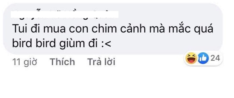 "Không ngờ rằng các bạn lại nghĩ ra được nhiều trò với những câu nói "mặn" như muối biển. Chào thua", "Lúc học thì không thông minh nhưng lúc chơi lại "nảy số" nhanh thế không biết" - Dân mạng hài hước bình luận.