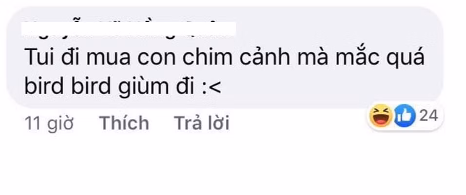 "Không ngờ rằng các bạn lại nghĩ ra được nhiều trò với những câu nói "mặn" như muối biển. Chào thua", "Lúc học thì không thông minh nhưng lúc chơi lại "nảy số" nhanh thế không biết" - Dân mạng hài hước bình luận.
