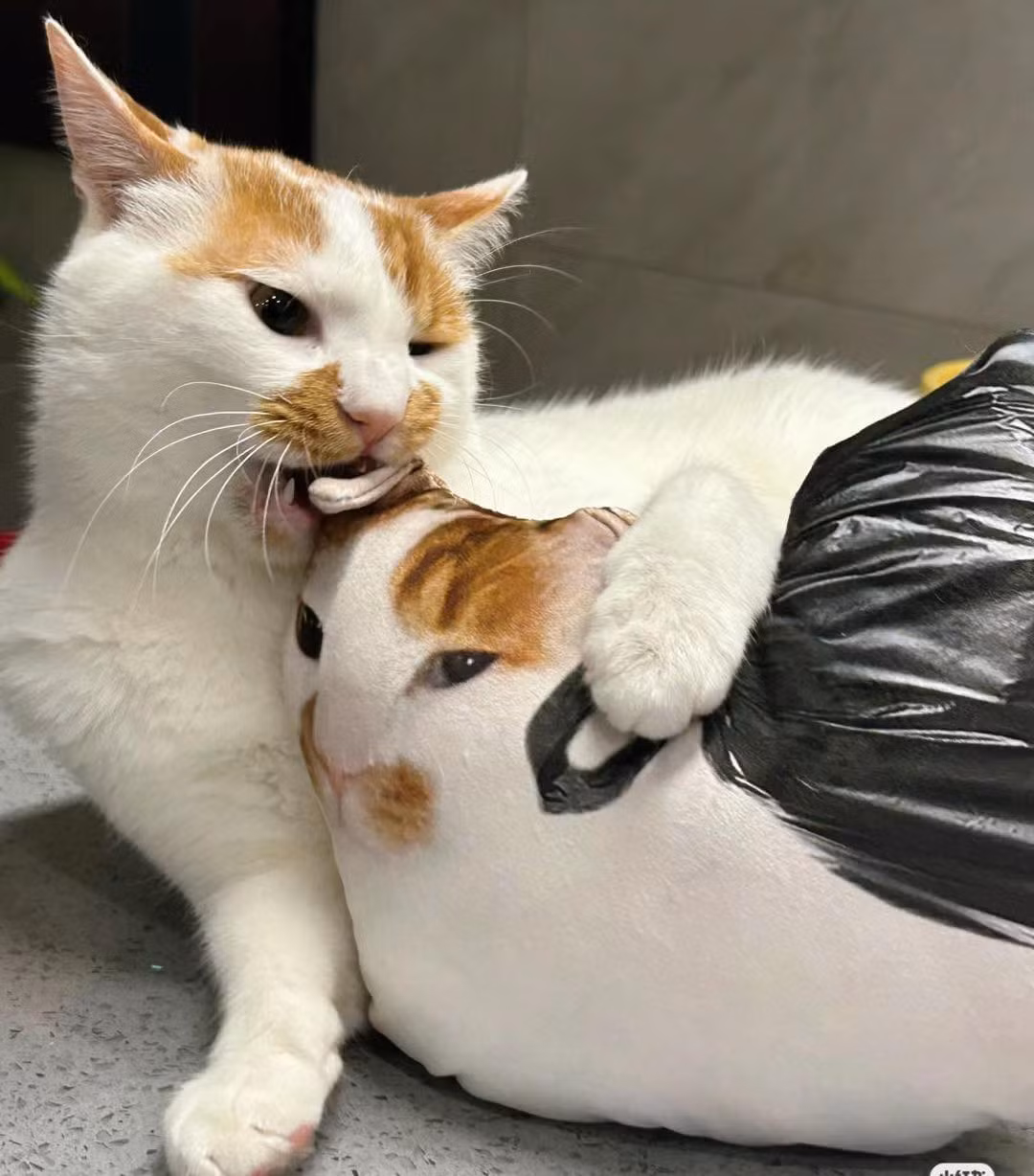 Và kết quả sau đó.