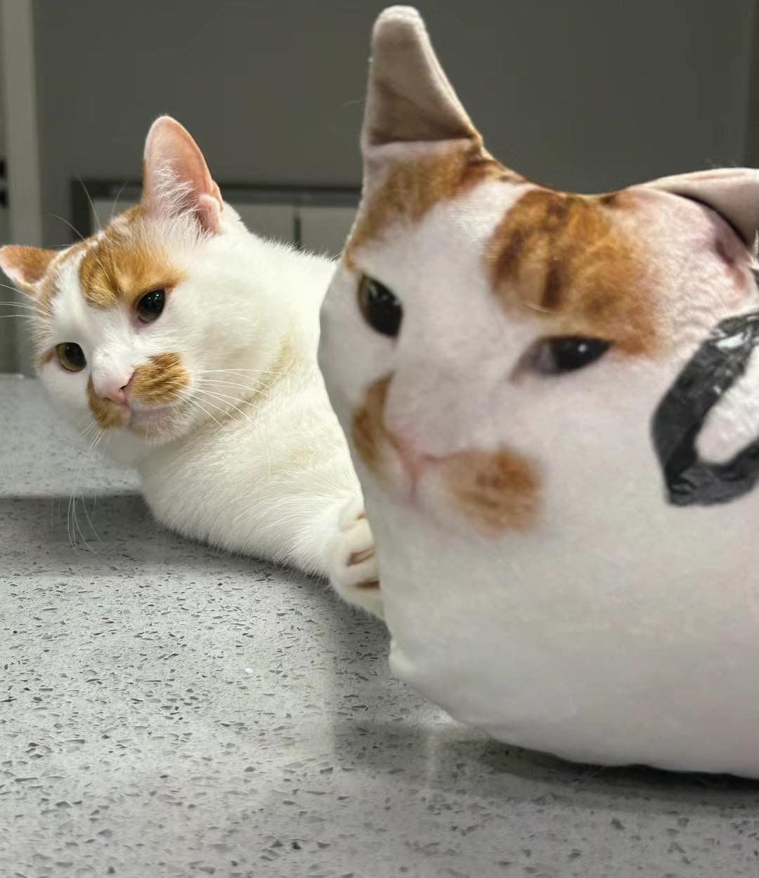 Khi "con sen" muốn tạo 1 người bạn thân bằng bông có ngoại hình y như "hoàng thượng" nhà mình.