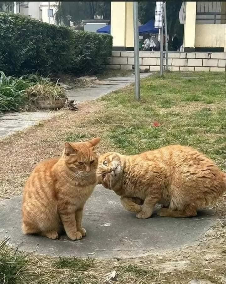 Khi 1 đứa hay giận và 1 đứa hay trêu chơi với nhau.