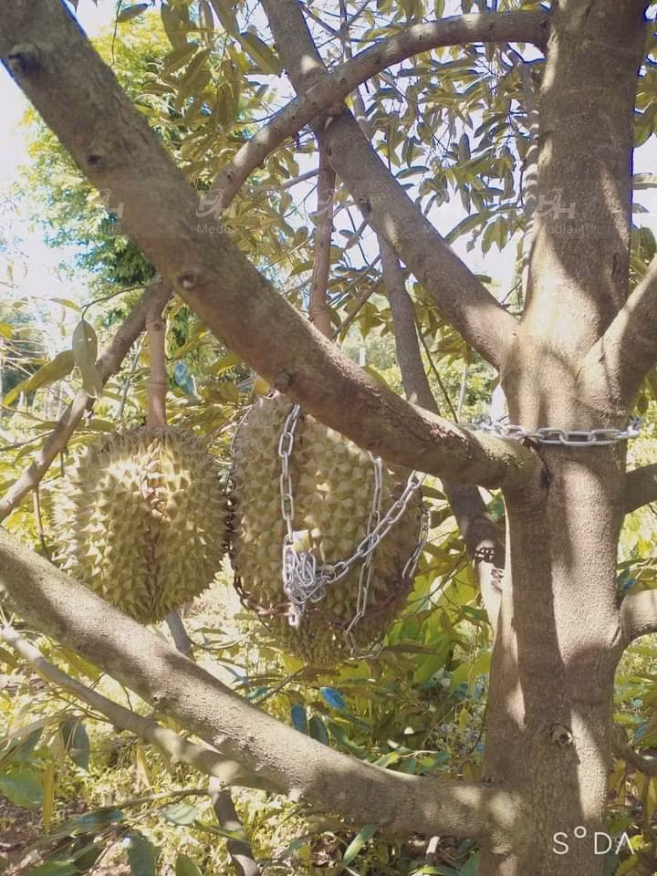 Doc la nhung cach “phong thu” tranh bi trom sau rieng lam netizen cuoi ngat