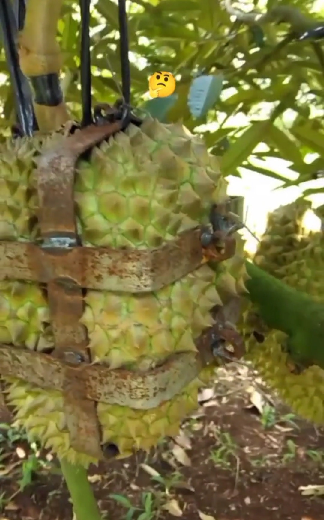 Thế này thì đố ai trộm được.