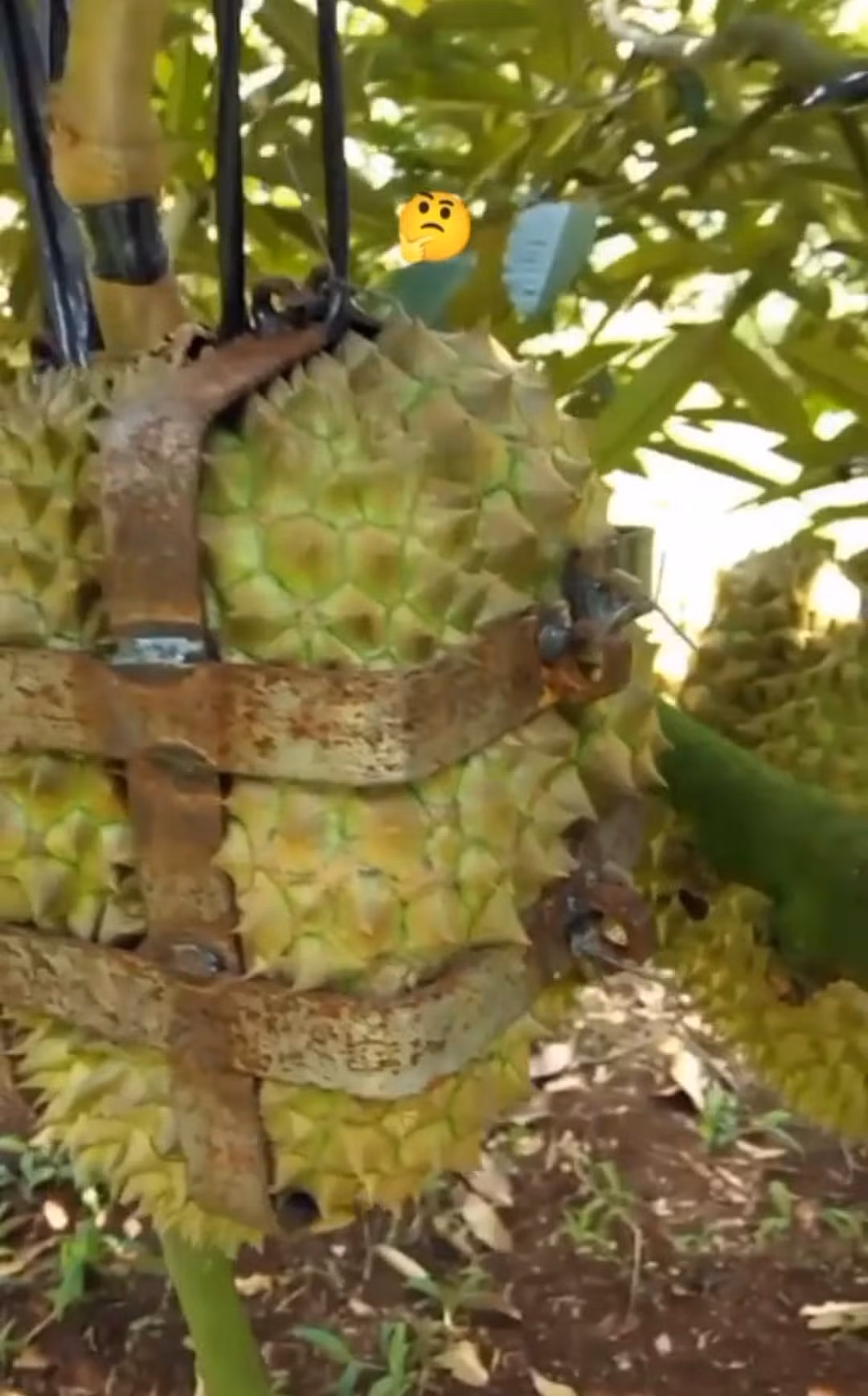 Thế này thì đố ai trộm được.