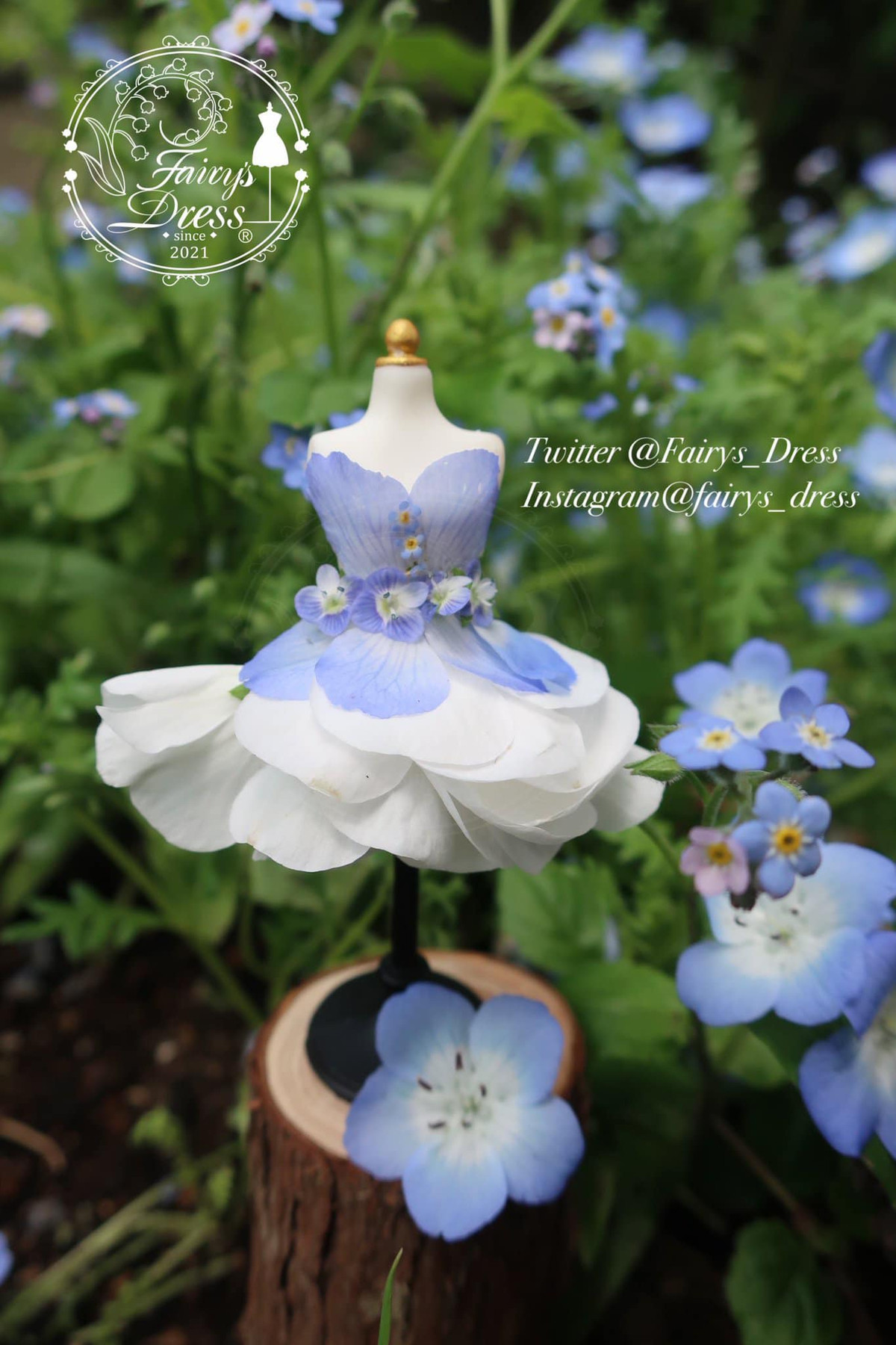 Khi ấy cô đang trong giai đoạn dần hồi phục khỏi căn bệnh trầm cảm, và khi dạo quanh vườn nhà, vô tình cô nhìn thấy một bông hoa rồi nảy ra ý tưởng làm nên bộ váy thần tiên.