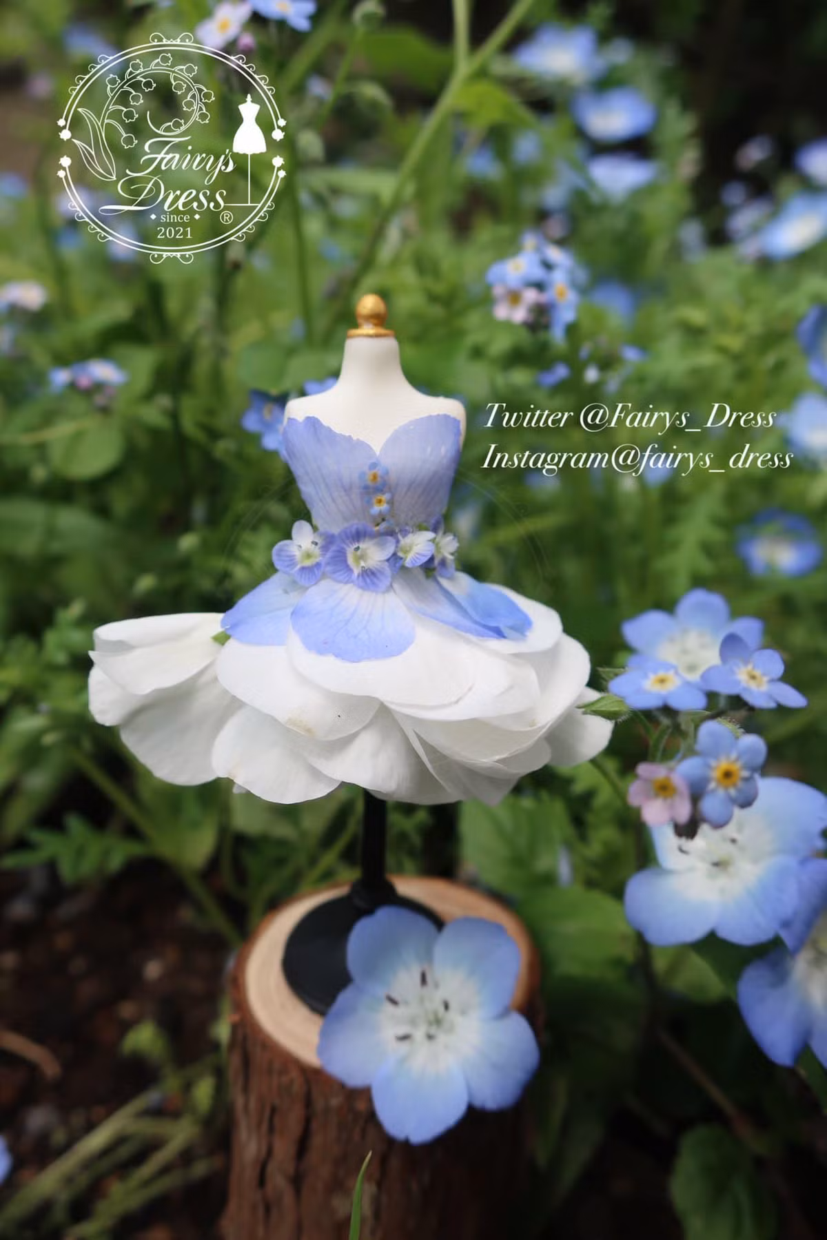 Khi ấy cô đang trong giai đoạn dần hồi phục khỏi căn bệnh trầm cảm, và khi dạo quanh vườn nhà, vô tình cô nhìn thấy một bông hoa rồi nảy ra ý tưởng làm nên bộ váy thần tiên.