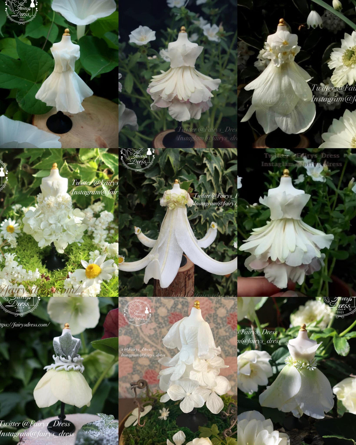 Sự chú ý cũng lan sang cả TV vì cô được giới thiệu trong một số phân đoạn truyền hình. Thương hiệu của cô ngày càng phát triển kể từ đó.