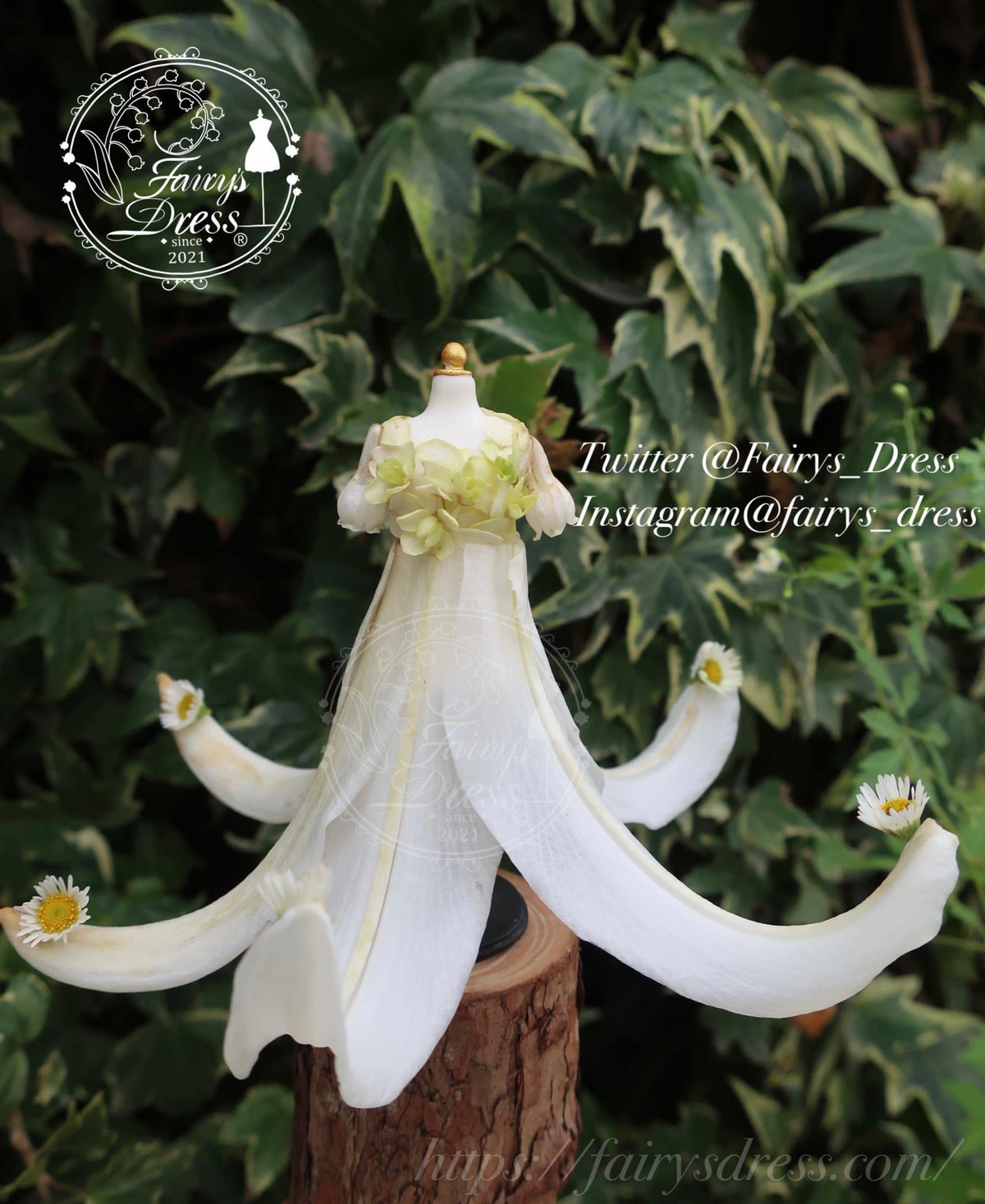 Momotsuki bắt đầu thực hiện chiếc đầm thần tiên đầu tiên vào tháng 4/2021, theo chia sẻ trên website Fairy Dress.