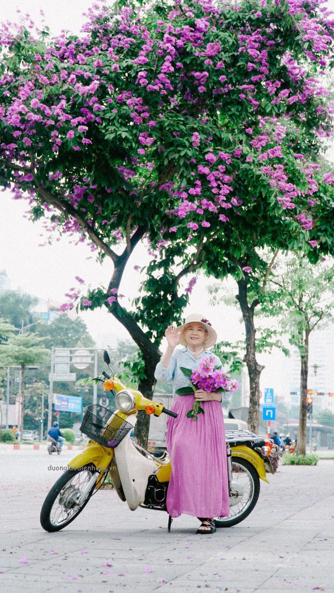 Vào mỗi dịp hè, bằng lăng thường nở rộ khiến nhiều người xao xuyến, thế nhưng thời gian bung nở của loài hoa cánh mỏng này cũng chỉ kéo dài khoảng độ 1 tháng, vì vậy nhiều người đã tranh thủ đi làm ít tấm ảnh sống ảo. Năm nay đặc biệt hơn khi bằng lăng "được mùa", nở khắp đường lớn ngõ nhỏ ở Hà Nội, tạo nên 1 trào lưu chụp ảnh cùng bằng lăng.