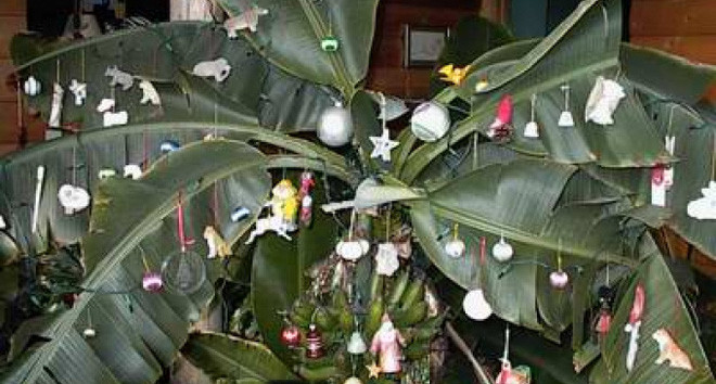 Cây thông Noel khiến dân mạng hò nhau tranh cãi kịch liệt, tất cả là do nguyên liệu đấy! - Hình 4 Cay thong Noel khien dan mang ho nhau tranh cai kich liet, tat ca la do nguyen lieu day!-Hinh-4