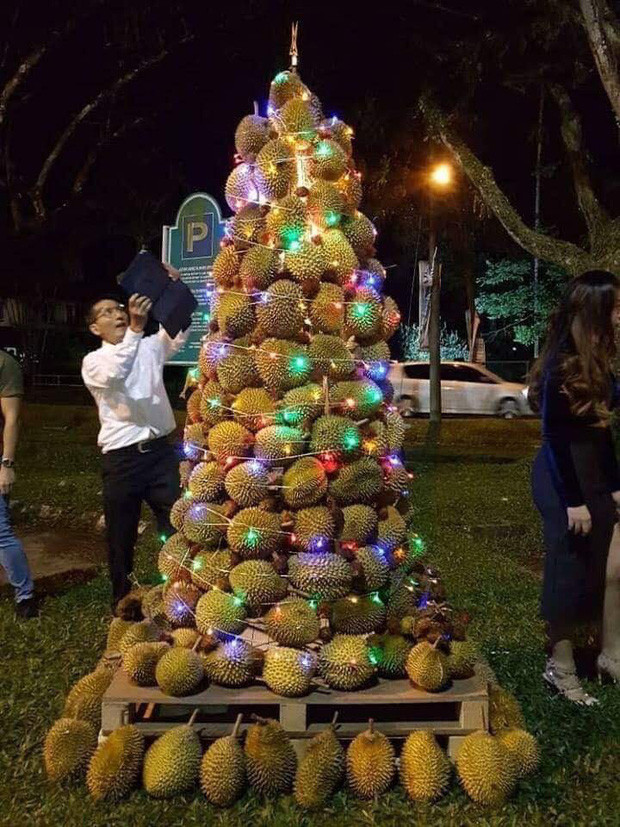 Cây thông Noel khiến dân mạng hò nhau tranh cãi kịch liệt, tất cả là do nguyên liệu đấy! Cay thong Noel khien dan mang ho nhau tranh cai kich liet, tat ca la do nguyen lieu day!