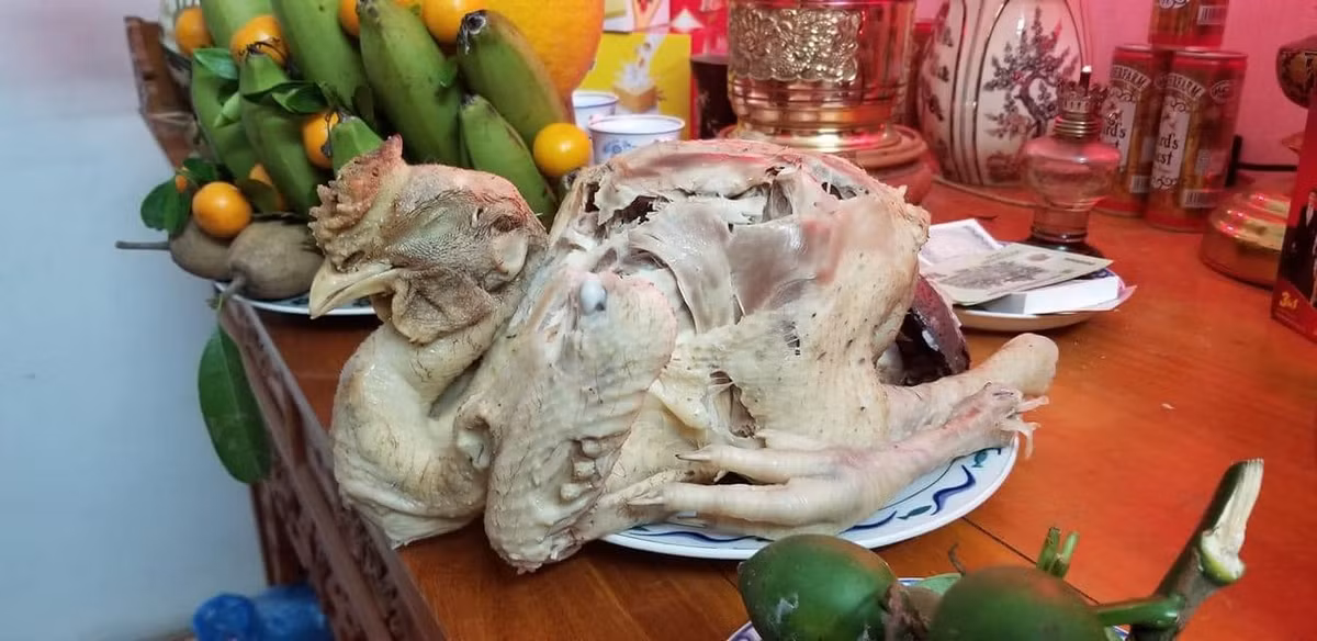 Vặt lông gà quá tay đến nỗi lột hết da và thịt luôn.