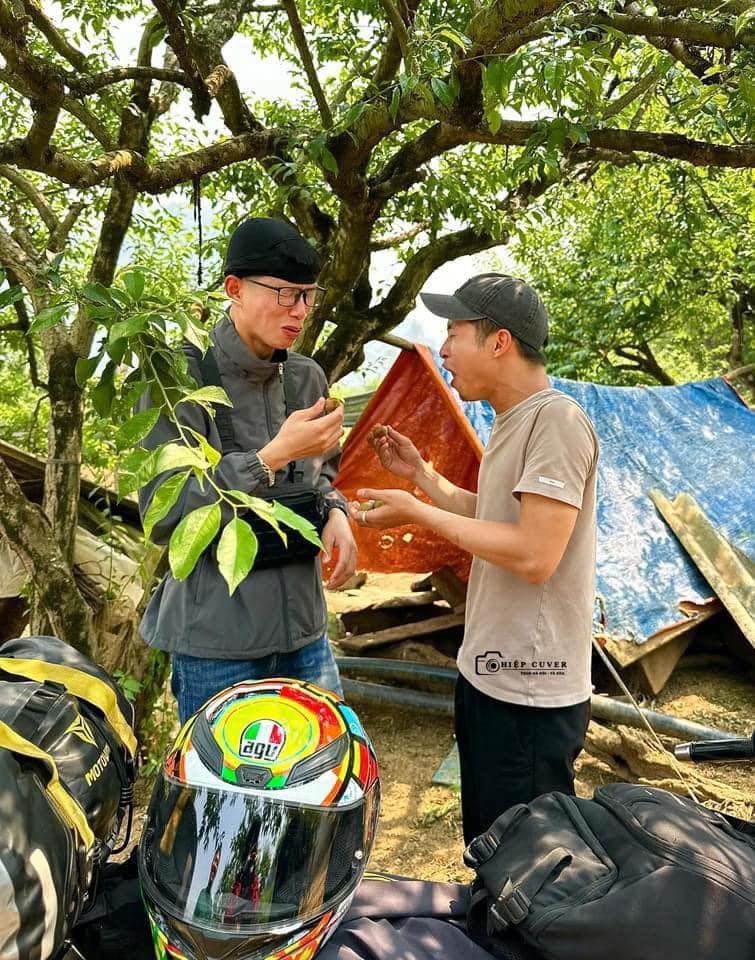 Hiện tại, giá mận đầu mùa vẫn khá cao, dao động từ 100.000-150.000 đồng trên thị trường.