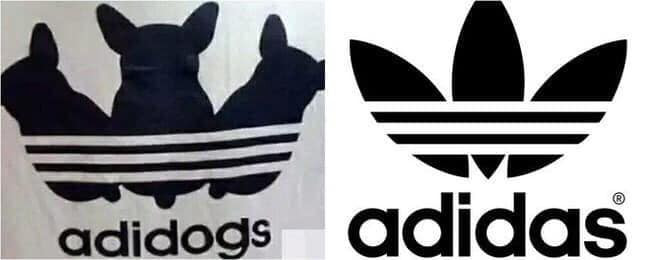 Hãng thời trang thể thao cho người bỗng biến thành thương hiệu cho... chó.