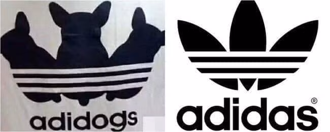 Hãng thời trang thể thao cho người bỗng biến thành thương hiệu cho... chó.