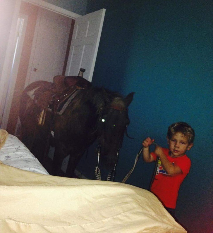 Nếu con bạn là 1 đứa trẻ có tình yêu thương động vật vô hạn thì rất có thể vào 1 sáng tinh mơ ngủ dậy, mở mắt ra bạn sẽ thấy đứa con của mình dắt về nhà 1 con vật lạ và khoe trong sự thích thú.