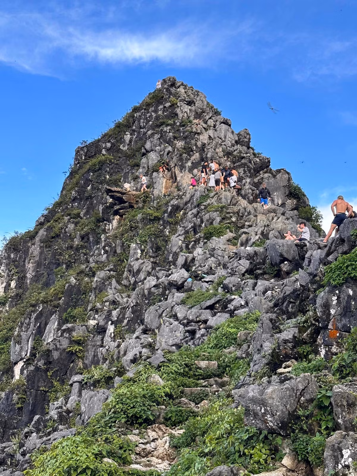 Toàn cảnh địa điểm check-in được rất nhiều du khách yêu thích.