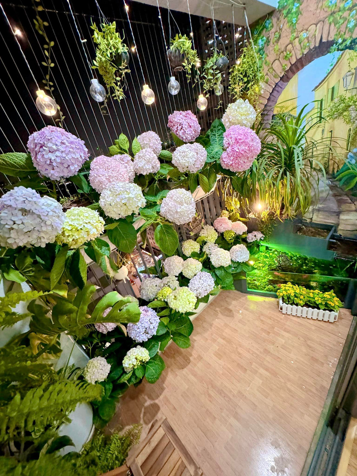 Cây hoa cẩm tú cầu thường được nhân giống bằng 2 phương pháp chính là giâm cành và chiết cành.