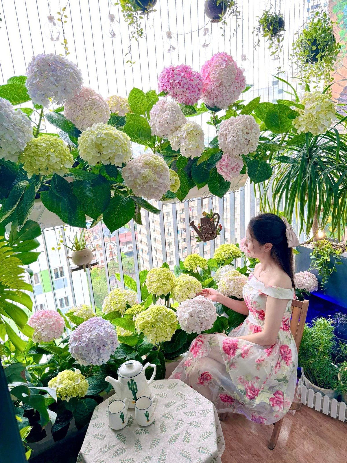 Những bông cẩm tú cầu to với đủ màu đang khoe sắc, tạo nên một khung cảnh nên thơ giữa phố thị. Chủ nhân của khu vườn thường ngồi bên góc nhỏ này để giải tỏa sau một ngày làm việc mệt mỏi.