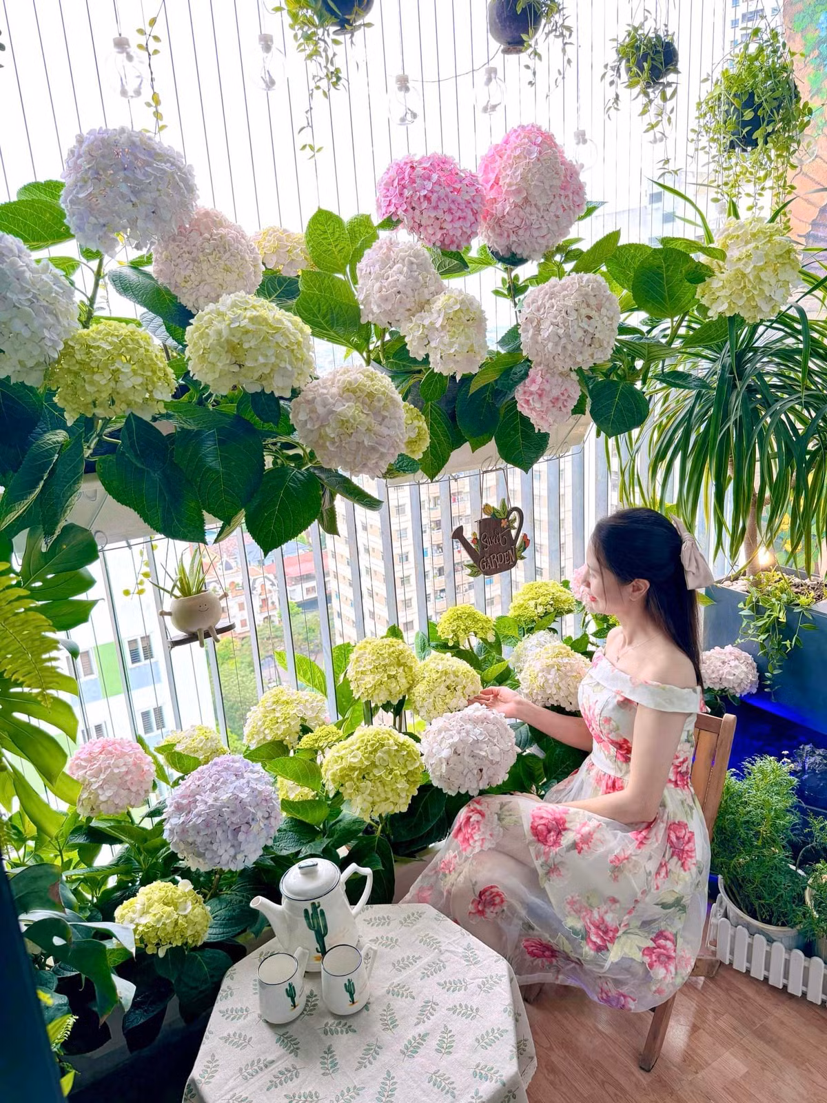 Những bông cẩm tú cầu to với đủ màu đang khoe sắc, tạo nên một khung cảnh nên thơ giữa phố thị. Chủ nhân của khu vườn thường ngồi bên góc nhỏ này để giải tỏa sau một ngày làm việc mệt mỏi.