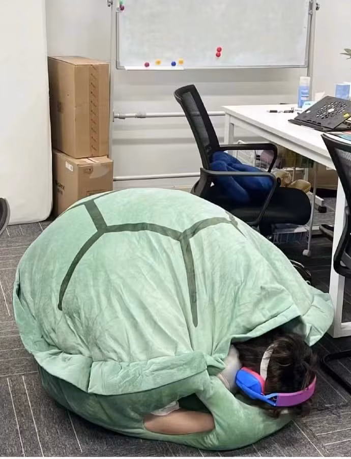 Khi gen Z ngủ trưa ở văn phòng.