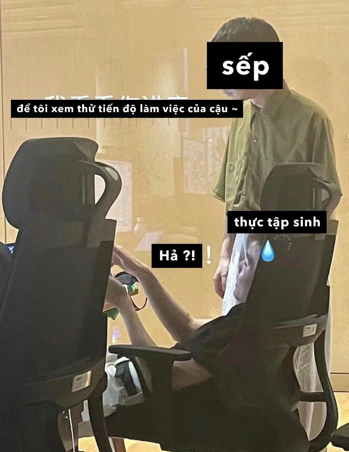 Không biết ai mới là sếp, ai mới là thực tập sinh.