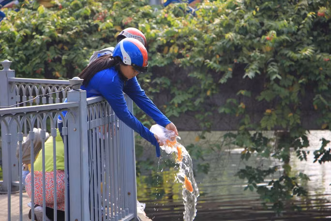 Ngày 23 tháng Chạp hàng năm, người dân Việt Nam đổ xô đi thả cá chép, tiễn ông Công ông Táo về trời. Thế nhưng cũng từ đây, nhiều tai nạn, tình huống dở khóc dở cười xảy ra. Tại kênh Nhiêu Lộc - Thị Nghè nhiều người đổ xô đi thả cá.