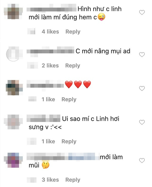 Dưới phần bình luận, cư dân mạng đã để lại câu hỏi nghi vấn về việc có phải chăng Linh Ka mới phẫu thuật thẩm mỹ mũi : "Hình như chị Linh mới làm mí đúng không ạ", "Úi, sao nhìn mí của chị Linh hơi sưng",...