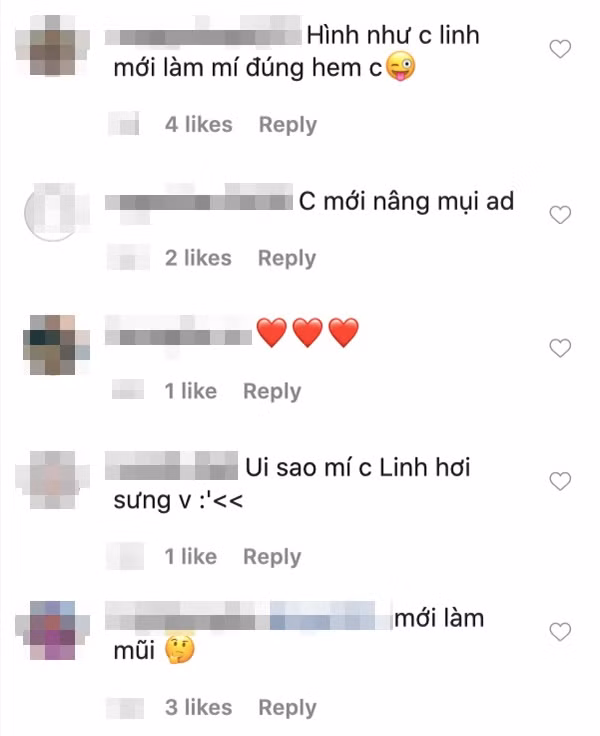 Dưới phần bình luận, cư dân mạng đã để lại câu hỏi nghi vấn về việc có phải chăng Linh Ka mới phẫu thuật thẩm mỹ mũi : "Hình như chị Linh mới làm mí đúng không ạ", "Úi, sao nhìn mí của chị Linh hơi sưng",...
