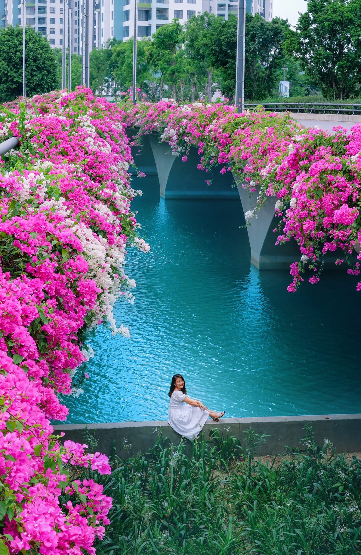 Những hình ảnh vạn người mê được tạo ra ngay trên cây cầu "sống ảo" này.