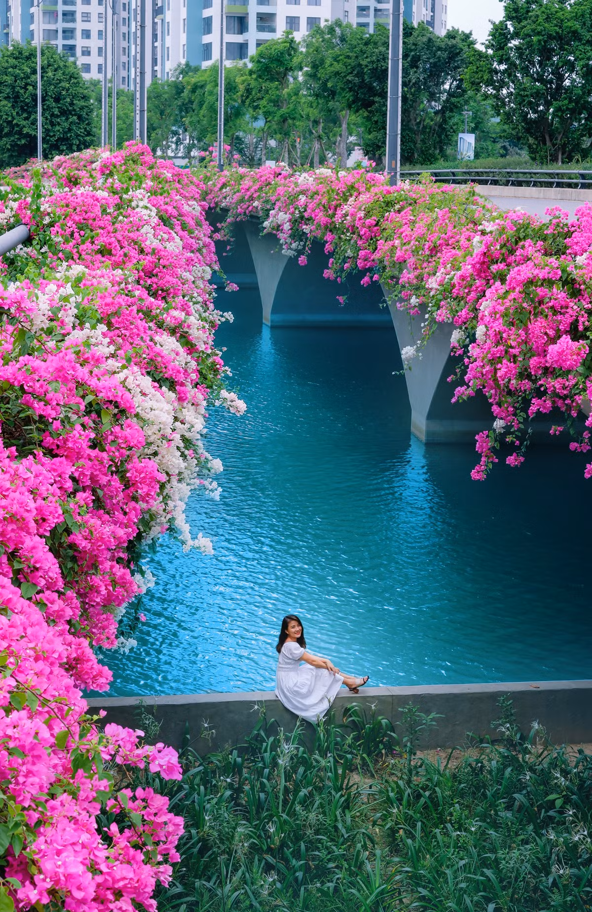 Những hình ảnh vạn người mê được tạo ra ngay trên cây cầu "sống ảo" này.