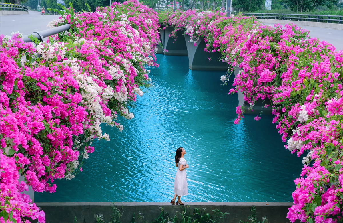 Mới đây, một địa điểm chụp ảnh "sống ảo" mới toanh tại Hà Nội được dân mạng tìm ra và chia sẻ cho nhau. Đó là cầu Thuỷ Tiên giúp kết nối hai bờ vịnh Aqua Bay, Ecopark.