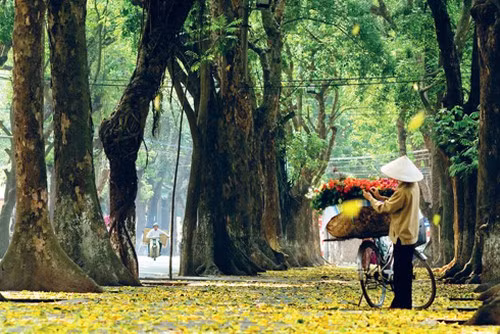 Đang mùa cây thay lá lại có nắng đẹp, con phố lãng mạn nhất Hà Nội Phan Đình Phùng sẽ là địa điểm đẹp để hội mê sống ảo tới chụp hình.