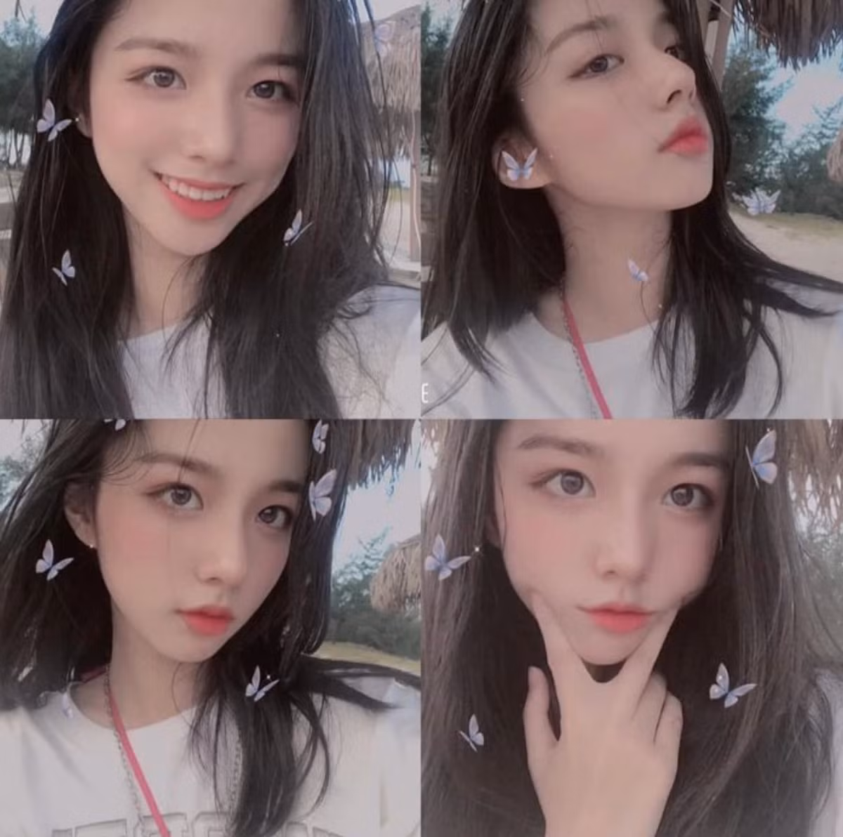 Không chỉ xinh đẹp, Phan Hằng còn có thành tích học tập đáng nể. Cô nàng có 12 năm đạt danh hiệu học sinh giỏi, giành giải nhất môn lịch sử và giải ba môn văn trong kỳ thi học sinh giỏi cấp thành phố khi còn học cấp 2.