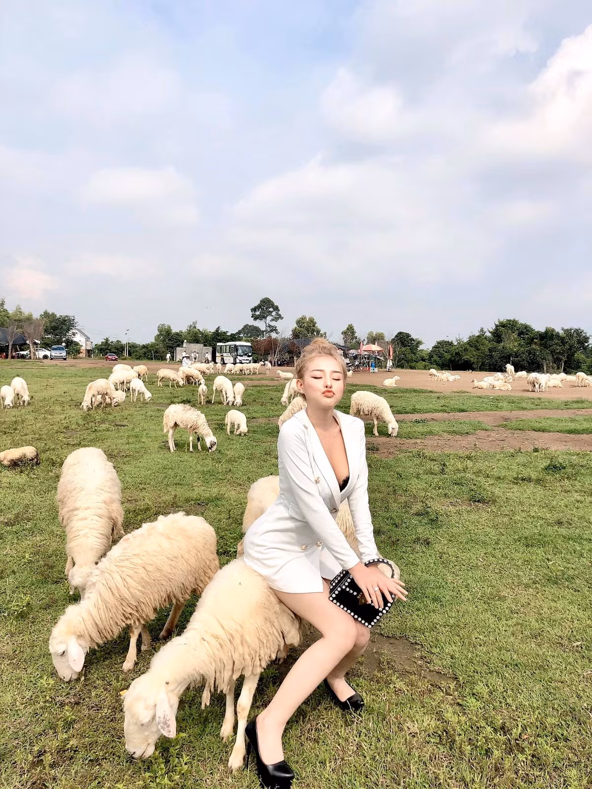 Tuy nhiên, thay vì khen ngợi vẻ ngoài xinh đẹp của chủ nhân tấm ảnh, nhiều người lại để ý tới những chú cừu đang gặm cỏ bên cạnh hot girl Ngân 98.