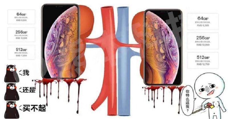 Không bán thận thì còn có thể bán những nội tạng khác mà, đều đủ giá mua iPhone 11 cả. CĐM rất có tâm khi liệt sẵn giá tiền các bộ phận nội tạng cho tín đồ Apple đây.