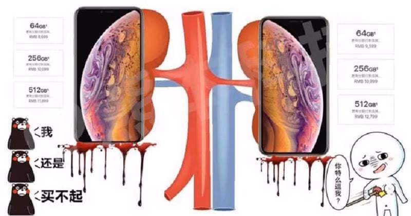 Không bán thận thì còn có thể bán những nội tạng khác mà, đều đủ giá mua iPhone 11 cả. CĐM rất có tâm khi liệt sẵn giá tiền các bộ phận nội tạng cho tín đồ Apple đây.